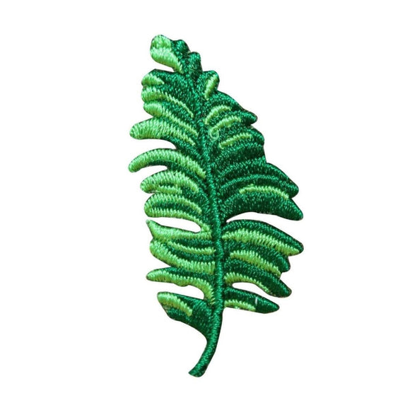 ID 7181 Tropical Fern Patch Plant Branch Leaf Craft Embroidered Iron On Applique