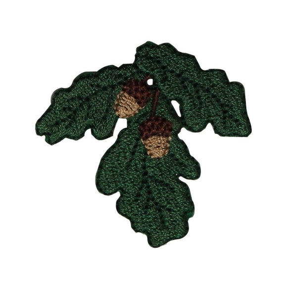 ID 7198 Green Leaf With Acorns Patch Pine Nature Embroidered Iron On Applique