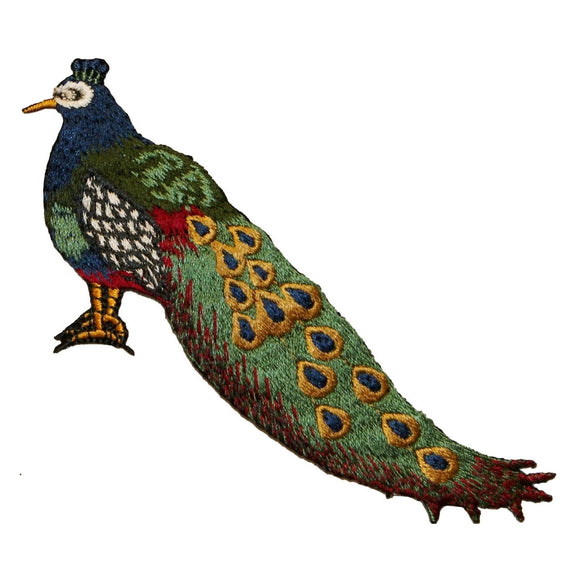 ID 0038 Peacock Colorful Bird Patch Long Feathers Embroidered Iron On Applique