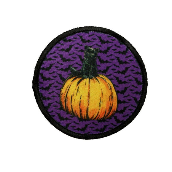 Black Cat Sitting On a Pumpkin Patch Halloween Bats Embroidered Iron On Applique