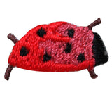 ID 1249 Lot of 3 Tiny Ladybug Patch Bug Insect Spot Embroidered Iron On Applique